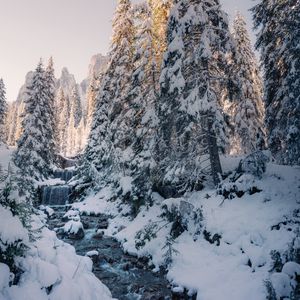 Preview wallpaper stream, trees, snow, winter, nature
