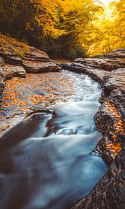 Preview wallpaper stream, water, fallen leaves, trees, autumn