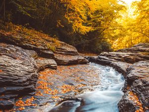 Preview wallpaper stream, water, fallen leaves, trees, autumn