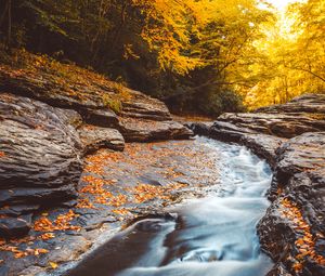 Preview wallpaper stream, water, fallen leaves, trees, autumn