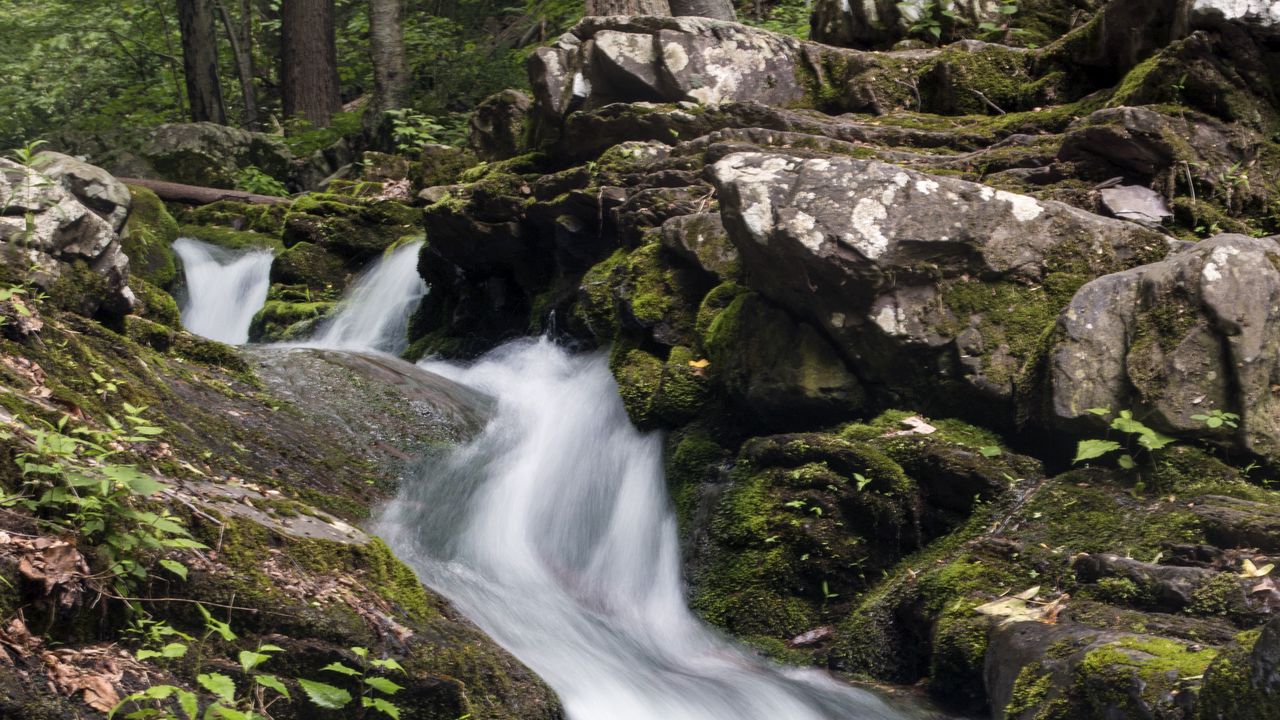 Wallpaper stream, water, flow, nature