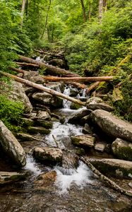 Preview wallpaper stream, water, logs, stones, nature