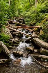 Preview wallpaper stream, water, logs, stones, nature