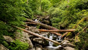 Preview wallpaper stream, water, logs, stones, nature