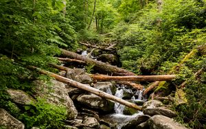 Preview wallpaper stream, water, logs, stones, nature