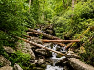 Preview wallpaper stream, water, logs, stones, nature