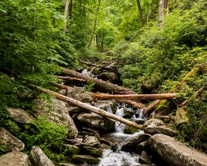 Preview wallpaper stream, water, logs, stones, nature