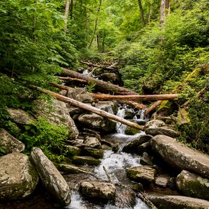 Preview wallpaper stream, water, logs, stones, nature