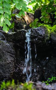 Preview wallpaper stream, water, stone, wet, leaves