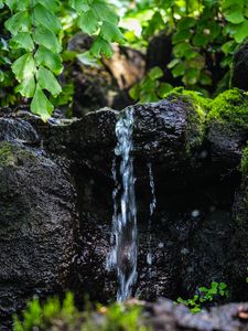 Preview wallpaper stream, water, stone, wet, leaves