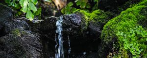 Preview wallpaper stream, water, stone, wet, leaves