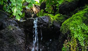 Preview wallpaper stream, water, stone, wet, leaves