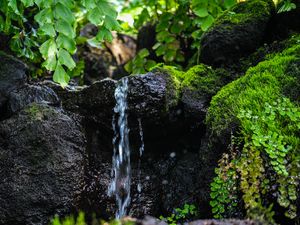 Preview wallpaper stream, water, stone, wet, leaves