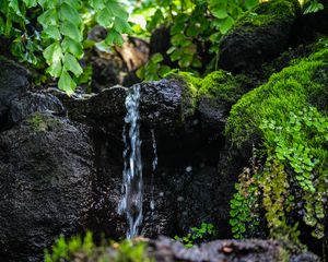 Preview wallpaper stream, water, stone, wet, leaves