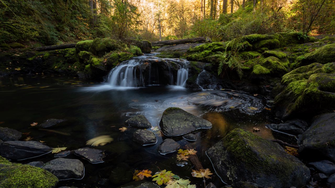 Wallpaper stream, water, stones, forest, autumn