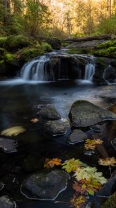 Preview wallpaper stream, water, stones, forest, autumn