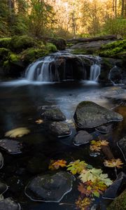 Preview wallpaper stream, water, stones, forest, autumn