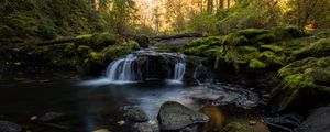 Preview wallpaper stream, water, stones, forest, autumn