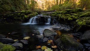 Preview wallpaper stream, water, stones, forest, autumn