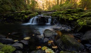 Preview wallpaper stream, water, stones, forest, autumn