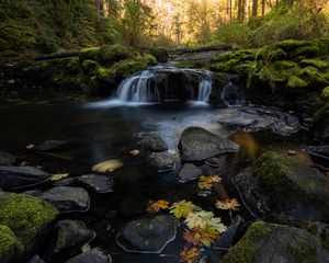 Preview wallpaper stream, water, stones, forest, autumn