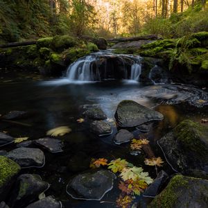 Preview wallpaper stream, water, stones, forest, autumn