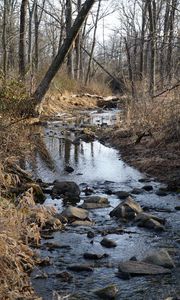 Preview wallpaper stream, water, stones, trees, bushes