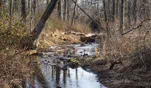 Preview wallpaper stream, water, stones, trees, bushes