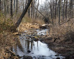 Preview wallpaper stream, water, stones, trees, bushes