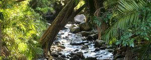 Preview wallpaper stream, water, stones, trees, nature