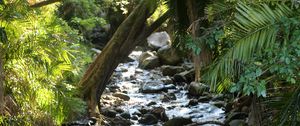 Preview wallpaper stream, water, stones, trees, nature
