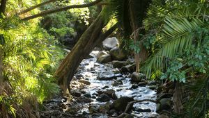 Preview wallpaper stream, water, stones, trees, nature
