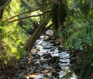 Preview wallpaper stream, water, stones, trees, nature