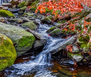 Preview wallpaper stream, water, stones, nature