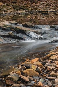 Preview wallpaper stream, water, stones, moss, nature