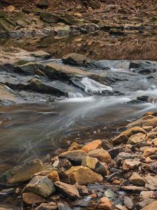 Preview wallpaper stream, water, stones, moss, nature