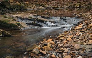 Preview wallpaper stream, water, stones, moss, nature