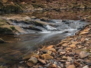 Preview wallpaper stream, water, stones, moss, nature