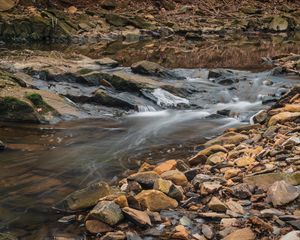 Preview wallpaper stream, water, stones, moss, nature