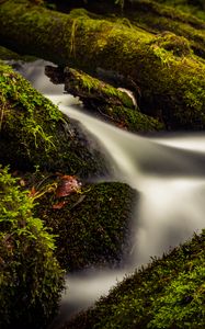 Preview wallpaper stream, water, tree, moss, long exposure