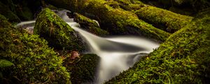 Preview wallpaper stream, water, tree, moss, long exposure