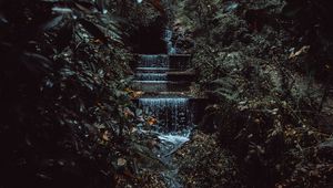 Preview wallpaper stream, waterfall, jungle, trees, bushes