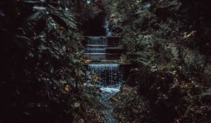 Preview wallpaper stream, waterfall, jungle, trees, bushes