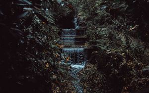 Preview wallpaper stream, waterfall, jungle, trees, bushes