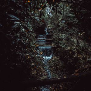 Preview wallpaper stream, waterfall, jungle, trees, bushes