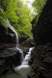 Preview wallpaper stream, waterfall, rocks, stone, trees