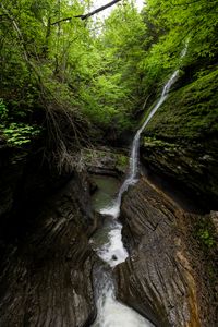 Preview wallpaper stream, waterfall, rocks, stone, trees, forest