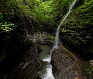 Preview wallpaper stream, waterfall, rocks, stone, trees, forest