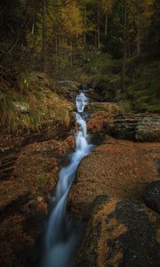 Preview wallpaper stream, waterfall, stones, trees