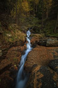 Preview wallpaper stream, waterfall, stones, trees